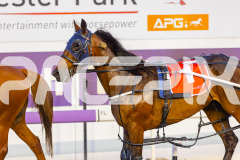 2025_PACEPIX_GP21112025_RACE3_ArmaBeliever_WIN_WEB-19