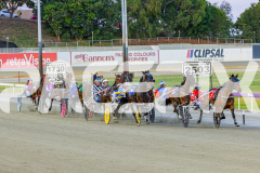 2025_PACEPIX_GP21112025_RACE3_ArmaBeliever_WIN_WEB-2