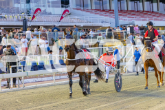 2025_PACEPIX_GP21112025_RACE3_ArmaBeliever_WIN_WEB-23