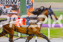 2025_PACEPIX_GP21112025_RACE3_ArmaBeliever_WIN_WEB-4