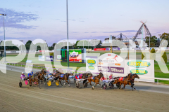 2025_PACEPIX_GP21112025_RACE3_ArmaBeliever_WIN_WEB-50