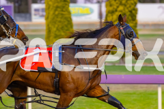 2025_PACEPIX_GP21112025_RACE3_ArmaBeliever_WIN_WEB-7