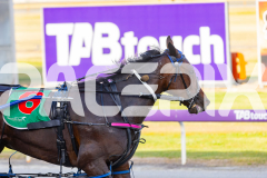 2025_PACEPIX_GP02122025_Race3_AtThePointyEnd_WIN_WEB-10