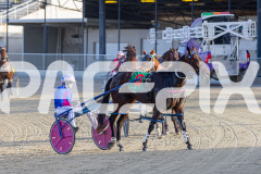 2025_PACEPIX_GP02122025_Race3_AtThePointyEnd_WIN_WEB-11