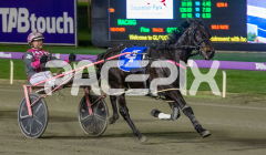 Azione_09-06-2026_WIN_Gloucester-Park_3__06