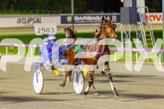2025_PACEPIX_GP26082025_Race3_BettorBehave_WIN_WEB-1