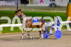 2025_PACEPIX_GP26082025_Race3_BettorBehave_WIN_WEB-12