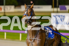 2025_PACEPIX_GP26082025_Race3_BettorBehave_WIN_WEB-17
