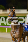 2025_PACEPIX_GP26082025_Race3_BettorBehave_WIN_WEB-18