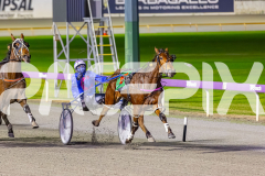 2025_PACEPIX_GP26082025_Race3_BettorBehave_WIN_WEB-6