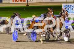 2025_PACEPIX_GP26082025_Race3_BettorBehave_WIN_WEB-7