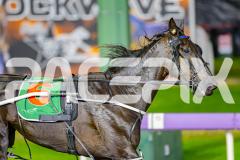 2025_PACEPIX_GP23052025_Race3_BettorsPride_WIN_WEB-19