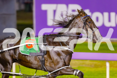 2025_PACEPIX_GP23052025_Race3_BettorsPride_WIN_WEB-4