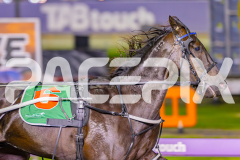 2025_PACEPIX_GP23052025_Race3_BettorsPride_WIN_WEB-8