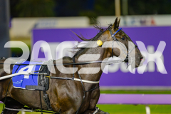 2025_PACEPIX_GP25042025_Race3_BettorsPride_WIN_WEB-12