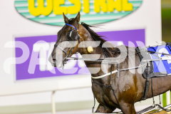 2025_PACEPIX_GP25042025_Race3_BettorsPride_WIN_WEB-15