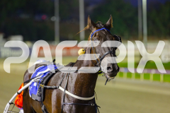 2025_PACEPIX_GP25042025_Race3_BettorsPride_WIN_WEB-18