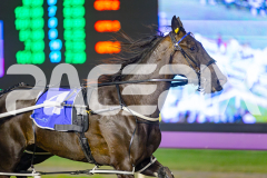 2025_PACEPIX_GP25042025_Race3_BettorsPride_WIN_WEB-4