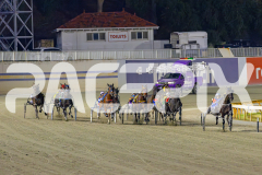 2025_PACEPIX_GP25042025_Race3_BettorsPride_WIN_WEB-7