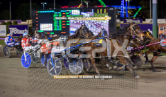 Beyond-Bling_04-08-2026_WIN_Gloucester-Park_3__04