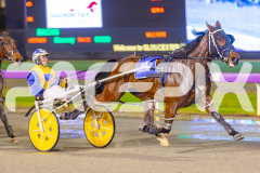 RACE 3 - Blameitonthenight