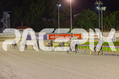 2025_PACEPIX_GP30052025_RACE3_Blameitonthenight_WIN_WEB-10