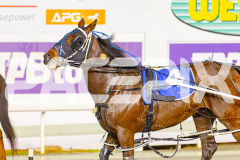 2025_PACEPIX_GP30052025_RACE3_Blameitonthenight_WIN_WEB-15