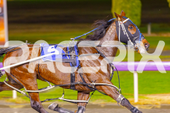 2025_PACEPIX_GP30052025_RACE3_Blameitonthenight_WIN_WEB-8