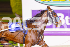 2025_PACEPIX_GP30052025_RACE3_Blameitonthenight_WIN_WEB-9