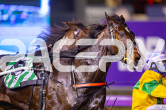 2025_PACEPIX_GP11072025_Race3_BlazeOn_WIN_WEB-3