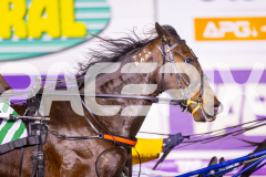 2025_PACEPIX_GP11072025_Race3_BlazeOn_WIN_WEB-4