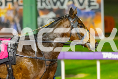 2026_PACEPIX_GP05052026_Race3_Blitzar_WIN_WEB-13