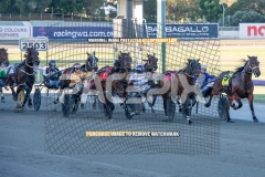 Bonpoppy_20-10-2026_WIN_Gloucester-Park_3__04