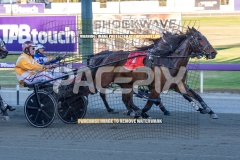 Bonpoppy_20-10-2026_WIN_Gloucester-Park_3__09