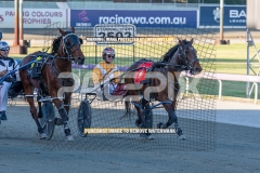 Bonpoppy_20-10-2026_WIN_Gloucester-Park_3__12