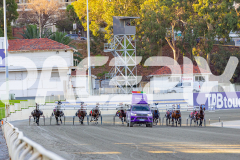 2026_PACEPIX_GP17032026_Race3_BrodieBoy_WIN_WEB-1