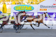 2026_PACEPIX_GP17032026_Race3_BrodieBoy_WIN_WEB-12