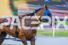 2026_PACEPIX_GP17032026_Race3_BrodieBoy_WIN_WEB-15