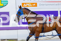 2026_PACEPIX_GP17032026_Race3_BrodieBoy_WIN_WEB-18
