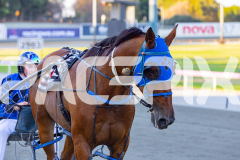 2026_PACEPIX_GP17032026_Race3_BrodieBoy_WIN_WEB-20