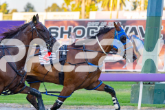 2026_PACEPIX_GP17032026_Race3_BrodieBoy_WIN_WEB-5