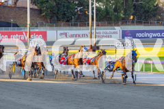 2026_PACEPIX_GP17032026_Race3_BrodieBoy_WIN_WEB-7