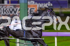 2026_PACEPIX_GP22052026_RACE3_BroughtToLight_WIN_WEB-5