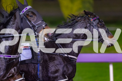 2026_PACEPIX_GP22052026_RACE3_BroughtToLight_WIN_WEB-9