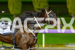 2026_PACEPIX_GP30062026_Race3_BullsharkBetty_WIN_WEB-18