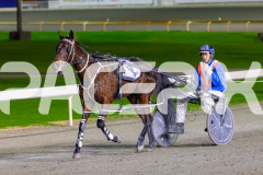 2026_PACEPIX_GP30062026_Race3_BullsharkBetty_WIN_WEB-19