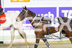 2026_PACEPIX_GP30062026_Race3_BullsharkBetty_WIN_WEB-21