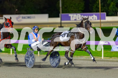 2026_PACEPIX_GP30062026_Race3_BullsharkBetty_WIN_WEB-3