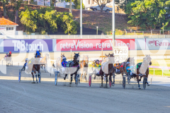 2025_PACEPIX_GP16122025_RACE3_CaptainsCreek_WIN_WEB-1