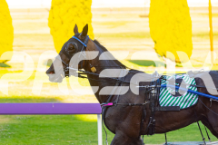 2025_PACEPIX_GP16122025_RACE3_CaptainsCreek_WIN_WEB-10